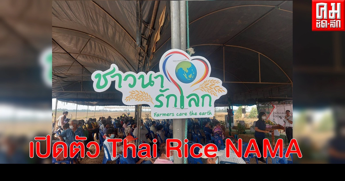 กรมการข้าวจับมือ GIZ เปิดตัว Thai Rice NAMA  ปรับการทำนาวิถีใหม่ เพิ่มผลผลิตเป็นมิตรกับสิ่งแวดล้อม