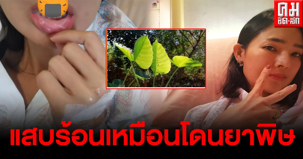 สาวรีวิวกินแกงส้มใส่ 'ออดิบ' แสบร้อนตั้งแต่คำแรก หามส่งรพ.ด่วน สาวรีวิวกินแกงส้มใส่ 'ออดิบ' แสบร้อนตั้งแต่คำแรก หามส่งรพ.ด่วน