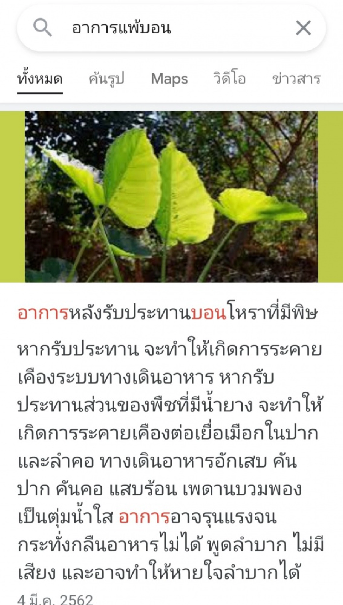 สาวรีวิวกินแกงส้มใส่ 'ออดิบ' แสบร้อนตั้งแต่คำแรก หามส่งรพ.ด่วน