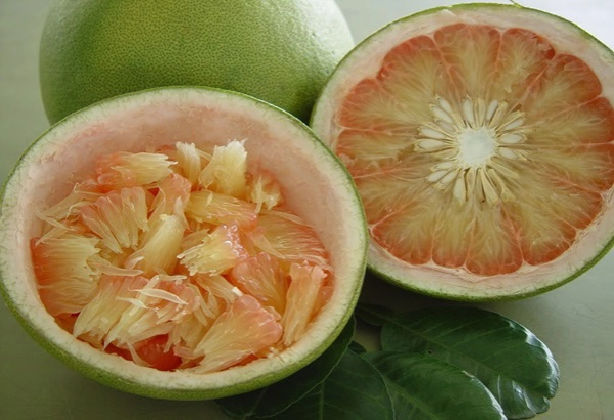 อธิบดีเกษตรฯ รุดพบผู้ว่าพิจิตรวางมาตรการปราบส้มโอลักลอบนำเข้าไทย