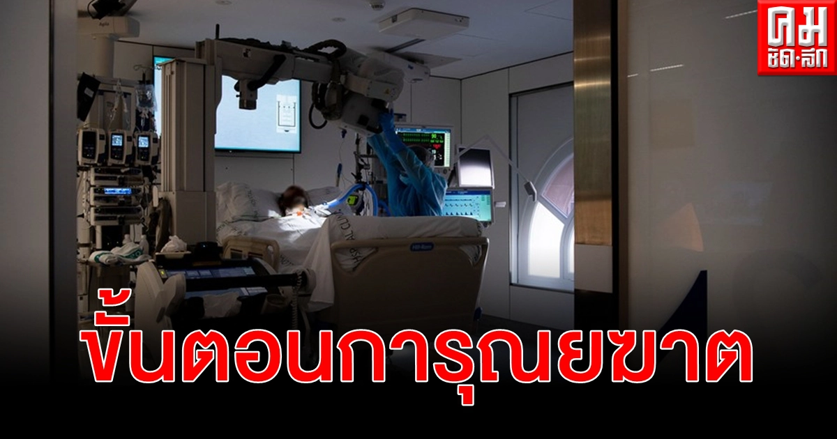 ไฟเขียว การุณยฆาต สเปนชาติที่ 4 ในยุโรป เปิดขั้นตอนผู้ป่วยต้องทำเพื่อจบชีวิต ไฟเขียว การุณยฆาต สเปนชาติที่ 4 ในยุโรป เปิดขั้นตอนผู้ป่วยต้องทำเพื่อจบชีวิต