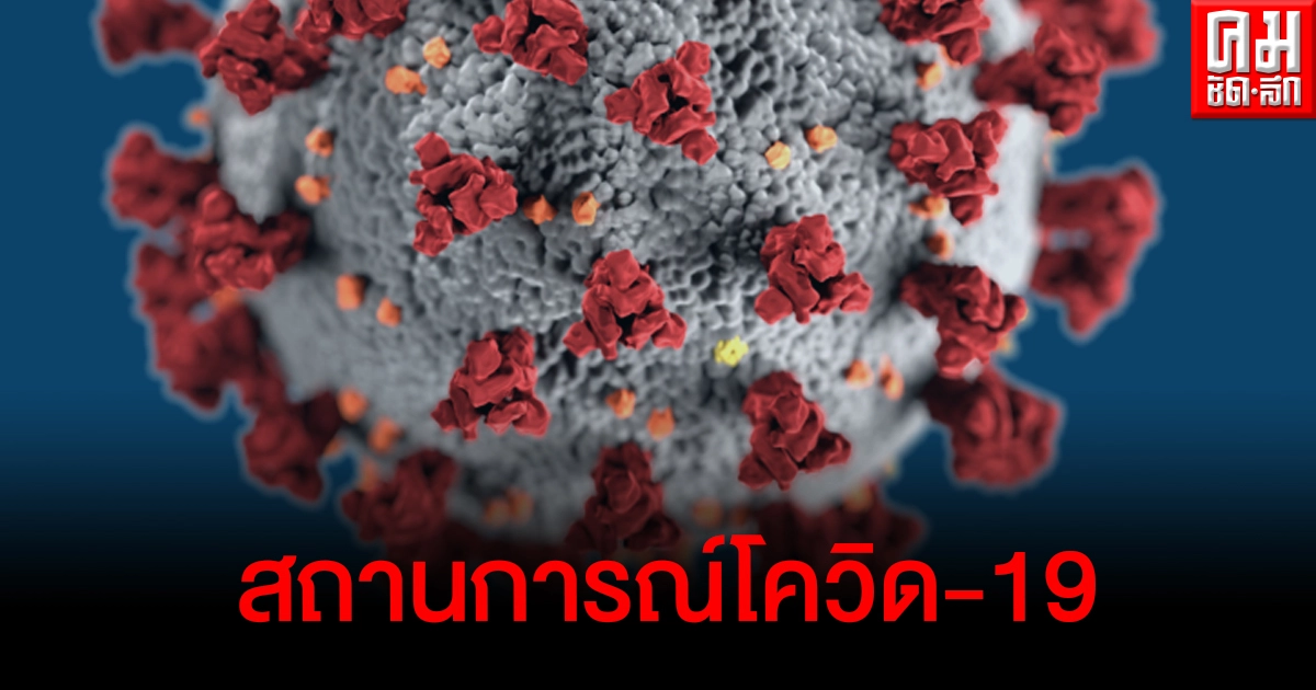 ด่วน ไทยติดเชื้อเพิ่ม 119 รายจาก 10 จังหวัด กทม.-สมุทรสาครมากสุด