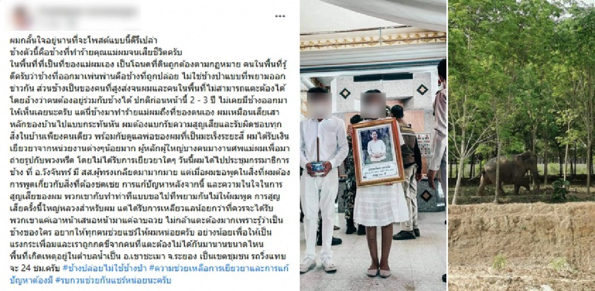 หนุ่มสูญเสียแม่ ช้าง บุกทำร้ายในเขตบ้านแต่ไร้การเยียวยา เผยไม่ใช่ช้างป่า