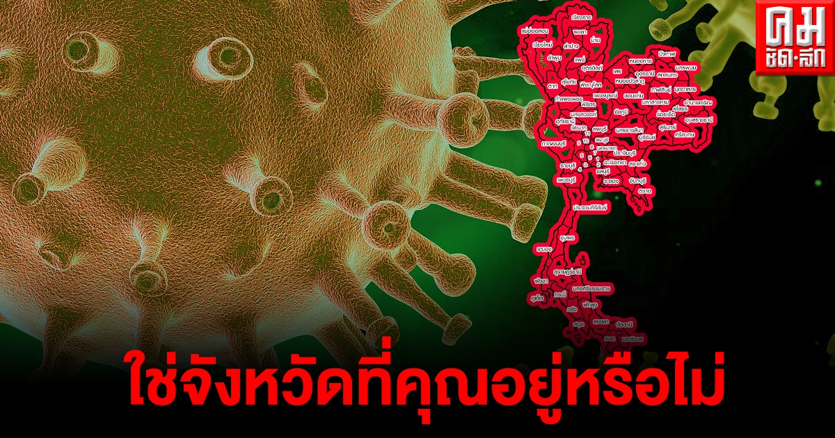 7 จังหวัดพบผู้ติดเชื้อโควิดวันนี้ เช็กเลยใช่จังหวัดที่คุณอยู่หรือไม่ 7 จังหวัดพบผู้ติดเชื้อโควิดวันนี้ เช็กเลยใช่จังหวัดที่คุณอยู่หรือไม่