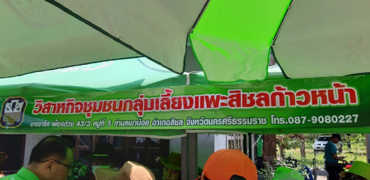 ส่องวิสัยทัศน์ผู้จัดการธ.ก.ส.คนใหม่ "ธนารัตน์ งามวลัยรัตน์" ผ่านกลุ่มเลี้ยงแพะสิชลก้าวหน้า