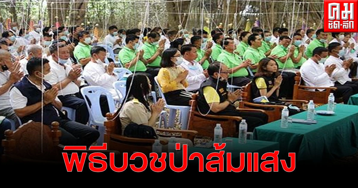 เชียงราย ทำพิธีบวชป่าส้มแสง อนุรักษ์สู่ระบบนิเวศ ผลักดันเข้าสู่แรมซ่าไซ เชียงราย ทำพิธีบวชป่าส้มแสง อนุรักษ์สู่ระบบนิเวศ ผลักดันเข้าสู่แรมซ่าไซ