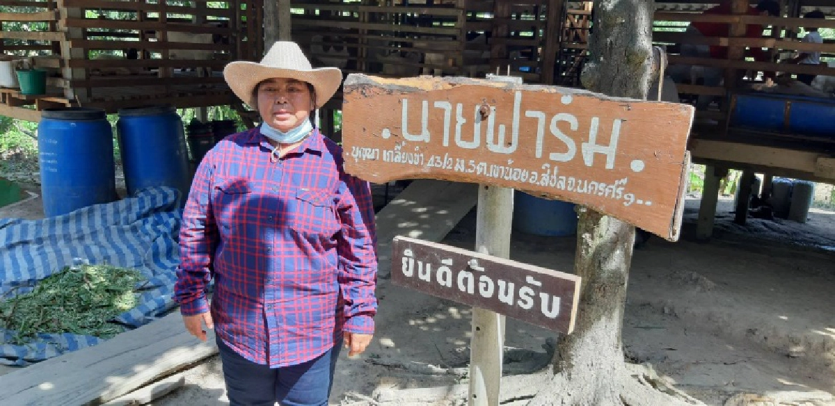 ส่องวิสัยทัศน์ผู้จัดการธ.ก.ส.คนใหม่ "ธนารัตน์ งามวลัยรัตน์" ผ่านกลุ่มเลี้ยงแพะสิชลก้าวหน้า