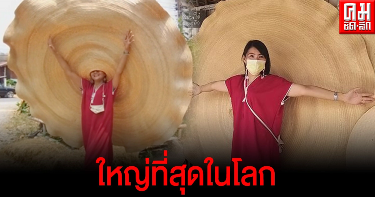 ฮือฮา หมวกยักษ์ไทยชนะศึก ใบใหญ่ที่สุดในโลก ใส่แล้วเท่มาก