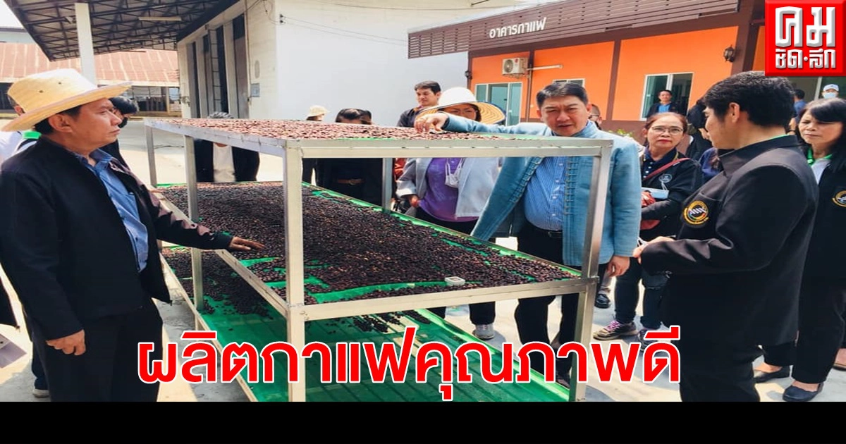 กสส. ชู"กาแฟดอยสะเก็ด" ตัวอย่างสินค้าสหกรณ์ที่พัฒนาได้ครบวงจร กสส. ชู"กาแฟดอยสะเก็ด" ตัวอย่างสินค้าสหกรณ์ที่พัฒนาได้ครบวงจร