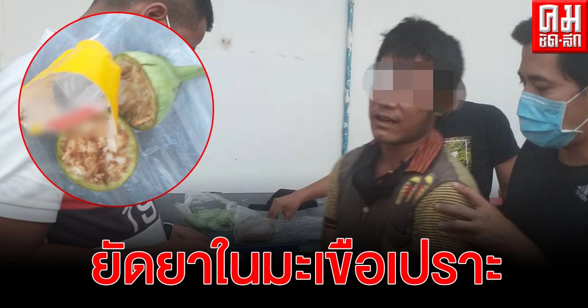 หนุ่มเมียนมาหัวใส ส่งยาแนวใหม่ ยัดในมะเขือเปราะ พร้อมน้ำพริกกะปิ