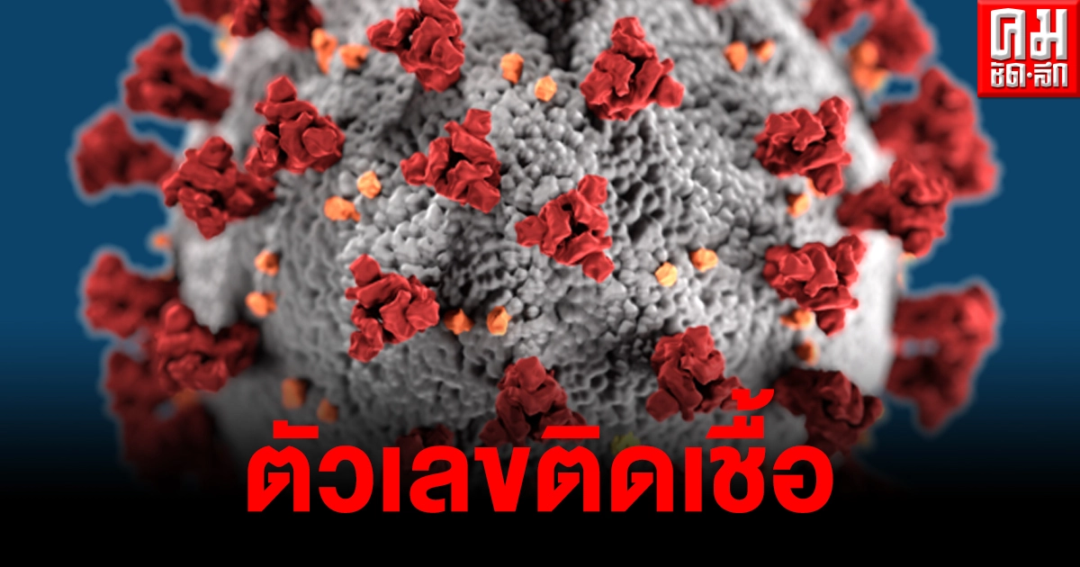 ด่วน ตัวเลขผู้ติดเชื้อโควิด-19 วันนี้ 97 ราย ติดในประเทศจาก 8 จังหวัด