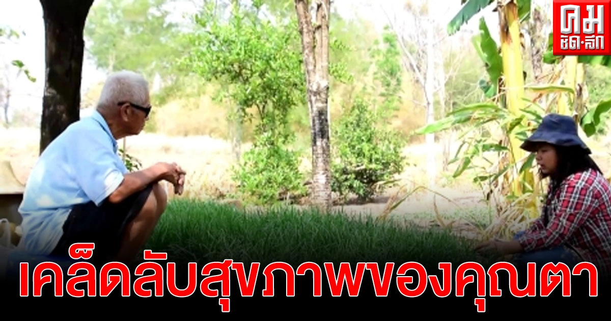 เคล็ดลับสุขภาพ คุณตาวัย 89 ปี ไม่กินเนื้อสัตว์ ปลูกผักกินเอง แถม สร้างรายได้ในวัยชรา