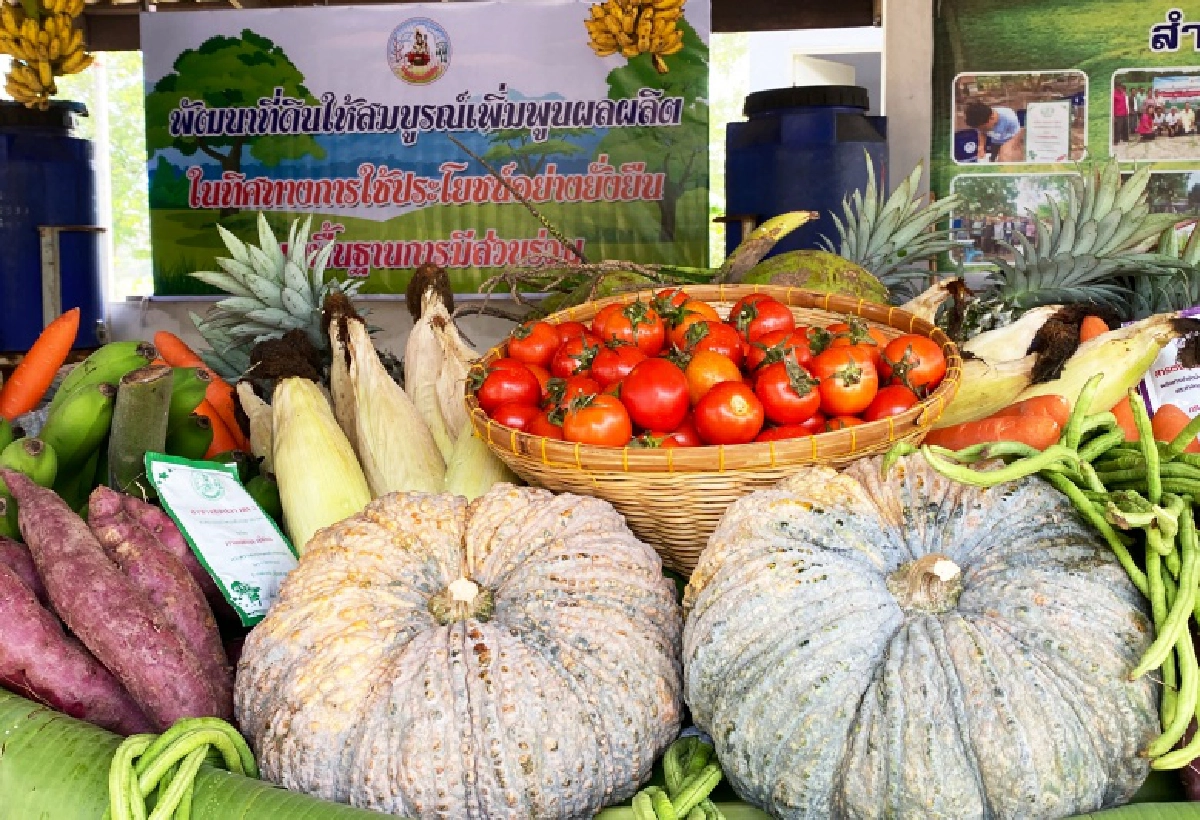 ศูนย์บริการการพัฒนาปลวกแดงตามพระราชดำริ จ.ระยองสืบสาน รักษา ต่อยอด ขยายผลสู่ราษฎรในพื้นที่