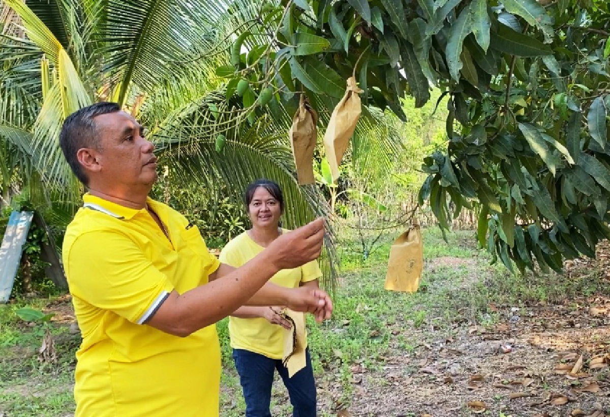 ศูนย์บริการการพัฒนาปลวกแดงตามพระราชดำริ จ.ระยองสืบสาน รักษา ต่อยอด ขยายผลสู่ราษฎรในพื้นที่