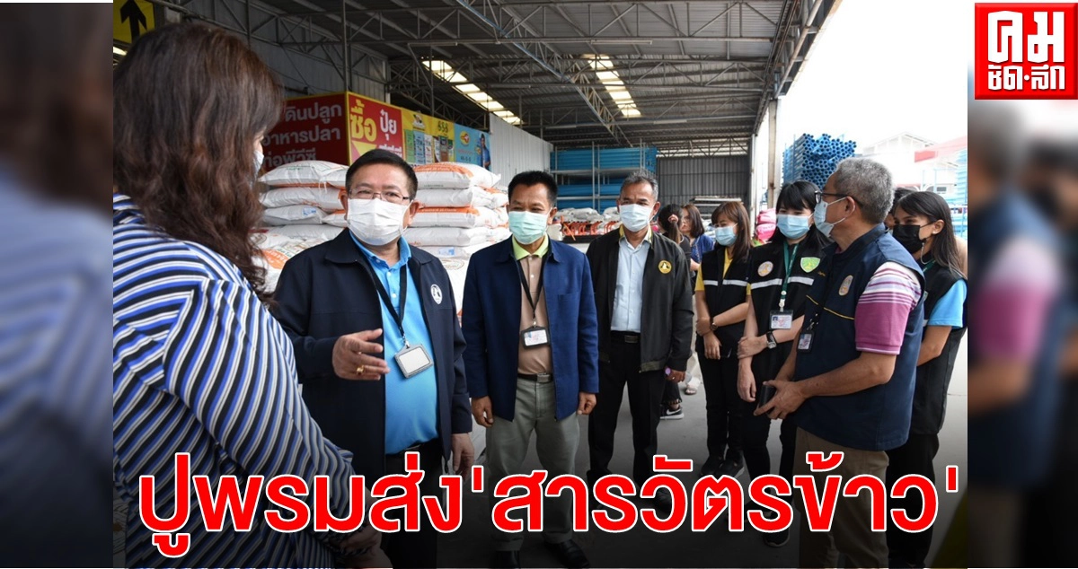 "กรมการข้าว" ปูพรมส่งสารวัตรข้าว ตรวจติดตาม ควบคุมเมล็ดพันธุ์ข้าวทั่วประเทศ "กรมการข้าว" ปูพรมส่งสารวัตรข้าว ตรวจติดตาม ควบคุมเมล็ดพันธุ์ข้าวทั่วประเทศ