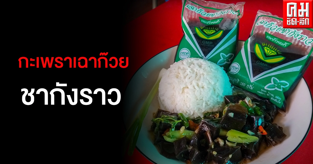 ฮือฮาท้าให้ลอง "กะเพราเฉาก๊วยชากังราว" เนื้อนุ่มหนึบหนับหวานปลายเหมือนกินหมึกสด ฮือฮาท้าให้ลอง "กะเพราเฉาก๊วยชากังราว" เนื้อนุ่มหนึบหนับหวานปลายเหมือนกินหมึกสด