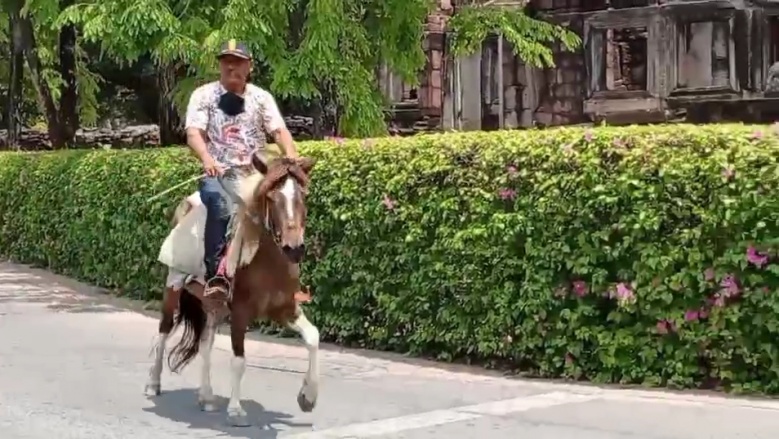 เปิดคลิป..ครูมวยชื่อดังขี่ม้าคู่ใจไปใช้สิทธิ สร้างสีสันเลือกตั้งเทศบาลโคราช