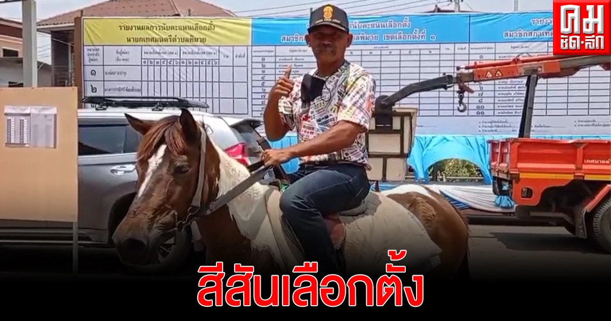 เปิดคลิป..ครูมวยชื่อดังขี่ม้าคู่ใจไปใช้สิทธิ สร้างสีสันเลือกตั้งเทศบาลโคราช