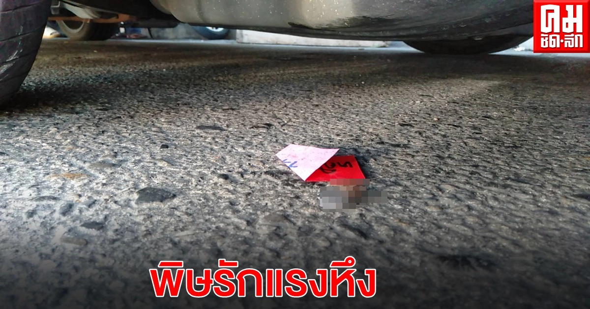 อลหม่านหนีตาย พิษรักแรงหึงยิงสนั่นตรงข้ามหน่วยเลือกตั้ง อลหม่านหนีตาย พิษรักแรงหึงยิงสนั่นตรงข้ามหน่วยเลือกตั้ง