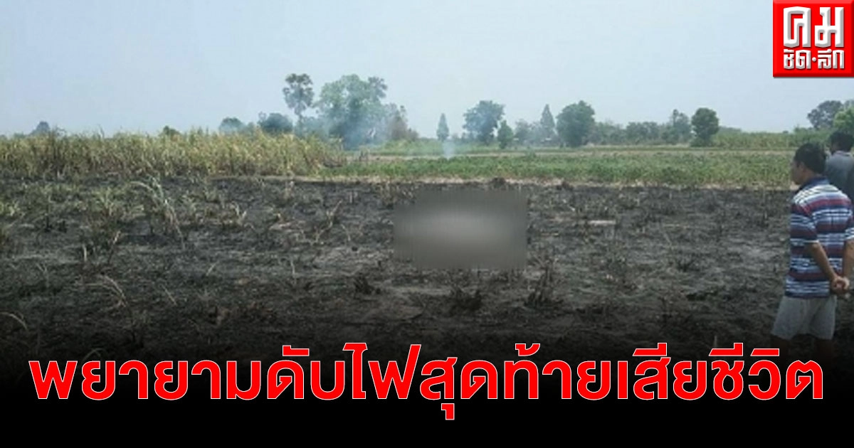 ไฟไหม้ไร่อ้อย ลุงอายุ 85 ปี กลัวจะลาม พยายามเข้าไปดับไฟ สุดท้ายเป็นลมดับอนาถ