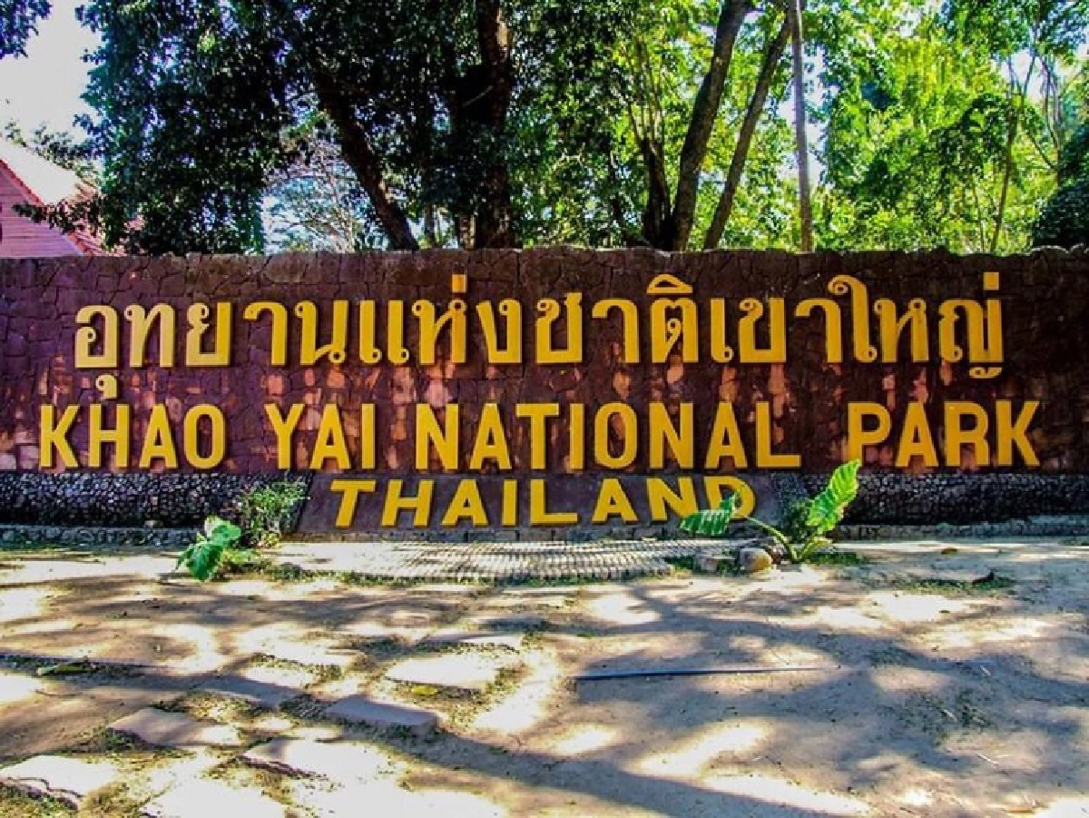 "ศรีสุวรรณ" ร่อนแถลงการณ์  ค้านสร้างเขื่อนในพื้นที่มรดกโลกเขาใหญ่-ทับลาน 