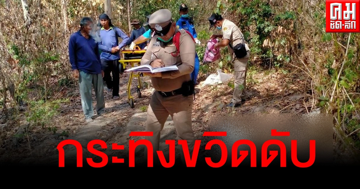 ลุงวัย 67 เข้าป่า ขากลับเคราะห์ร้ายเจอฝูงกระทิง ถูกขวิดดับสลด ลุงวัย 67 เข้าป่า ขากลับเคราะห์ร้ายเจอฝูงกระทิง ถูกขวิดดับสลด