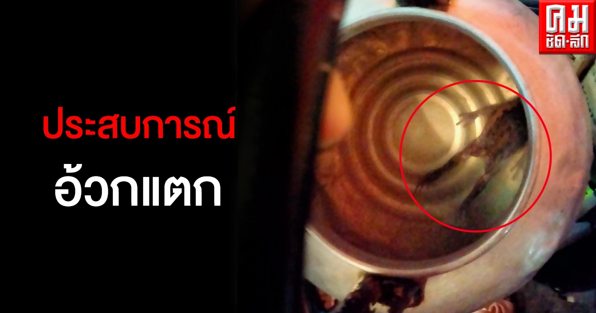 สาวกินหมูกระทะจนอิ่มก่อนเจอแจ็คพอตอึ่งอ่างลอยในกาน้ำซุป สาวกินหมูกระทะจนอิ่มก่อนเจอแจ็คพอตอึ่งอ่างลอยในกาน้ำซุป