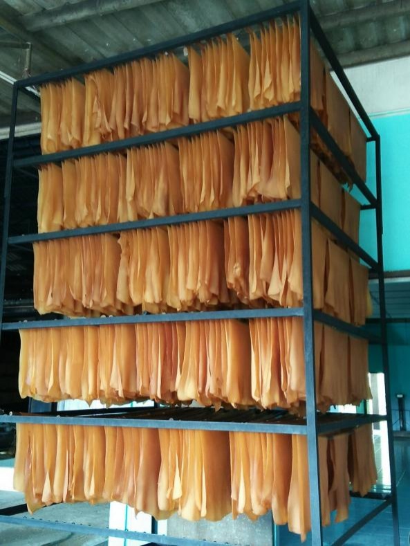 ก.เกษตร เร่งแก้ปัญหาราคายางพารา-ด้าน "กยท."ขานรับเร่งผลักดันแนวคิด 