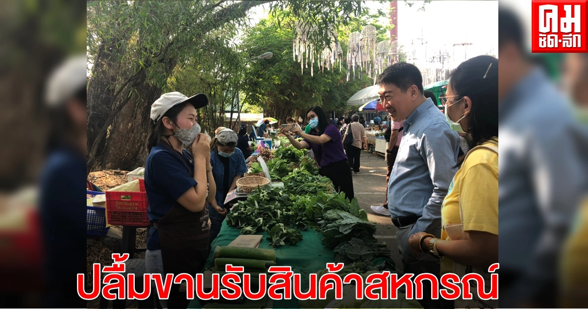 กสส.ปลื้มชาวเชียงใหม่ขานรับสินค้าสหกรณ์ผ่านตลาดจริงใจขายได้ 2 หมื่นบาทต่อวัน กสส.ปลื้มชาวเชียงใหม่ขานรับสินค้าสหกรณ์ผ่านตลาดจริงใจขายได้ 2 หมื่นบาทต่อวัน