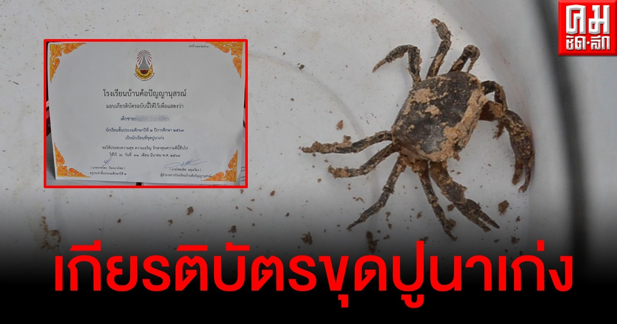 น้องปลาคาร์ฟ เปิดใจหลังได้เกียรติบัตร ขุดปูนาเก่ง ผอ.ชี้เด็กมีดีต่างกันต้องได้ทุกคน น้องปลาคาร์ฟ เปิดใจหลังได้เกียรติบัตร ขุดปูนาเก่ง ผอ.ชี้เด็กมีดีต่างกันต้องได้ทุกคน