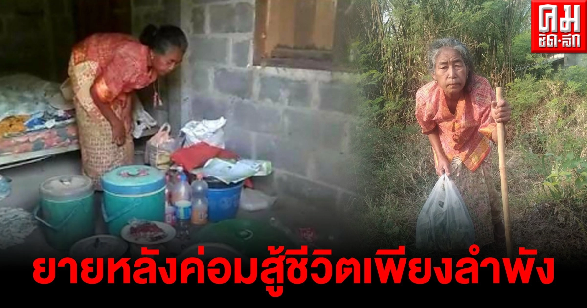 ยายหลังค่อมวัย 65 ปีเก็บผักขายเลี้ยงชีพ ยังรับจ้างดายหญ้า รับจ้างกวาดขยะหน้าร้านค้าชาวบ้าน เพื่อหารายได้ประทังชีวิต ยายหลังค่อมวัย 65 ปีเก็บผักขายเลี้ยงชีพ ยังรับจ้างดายหญ้า รับจ้างกวาดขยะหน้าร้านค้าชาวบ้าน เพื่อหารายได้ประทังชีวิต