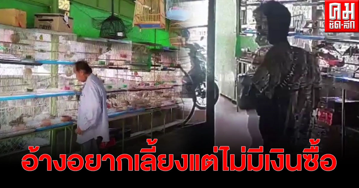 วงจรปิดจับชัด หนุ่มเดินเข้าร้านฉกนกพร้อมกรงหลบหนี สุดท้ายโดนรวบ อ้างอยากเลี้ยงแต่ไม่มีเงินซื้อ
