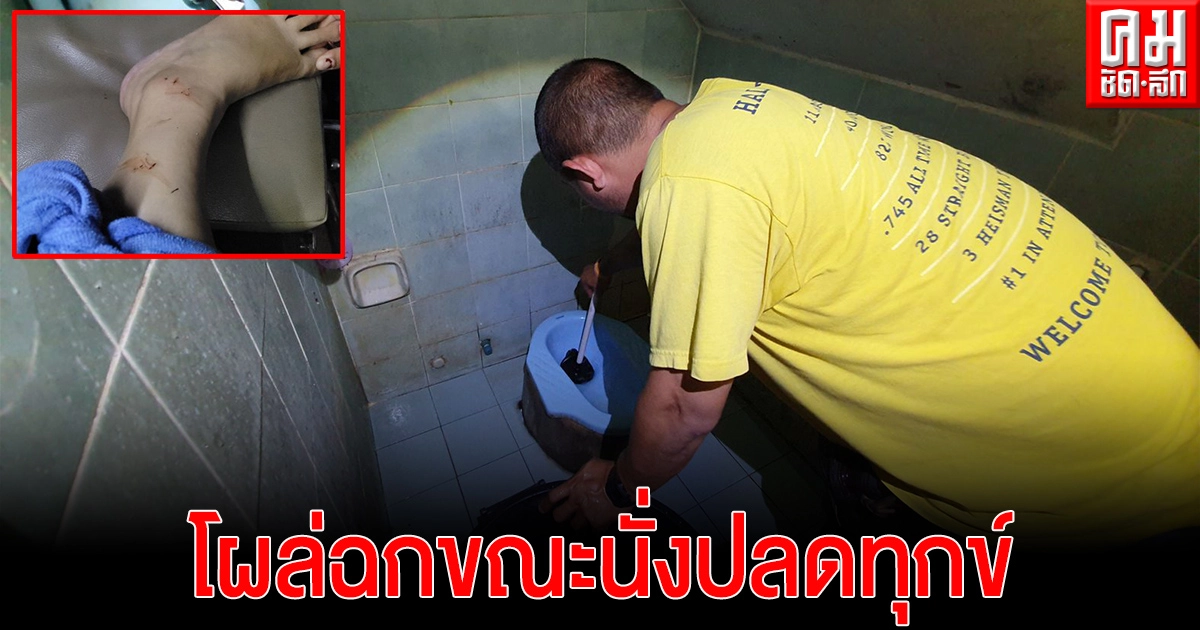 งูโผล่โถส้วมกัดสาววัย 32 ปีขณะเข้าไปนั่งปลดทุกข์