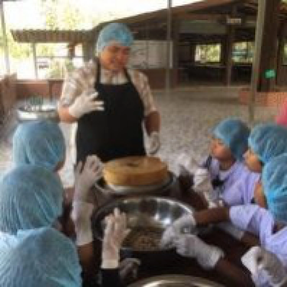 ผลผลิตจากแปลงเกษตรสู่อาหารกลางวัน สืบสานพระราชดำริเพื่อการพัฒนา ภายใต้โครงการ กพด.-ส.ป.ก. 