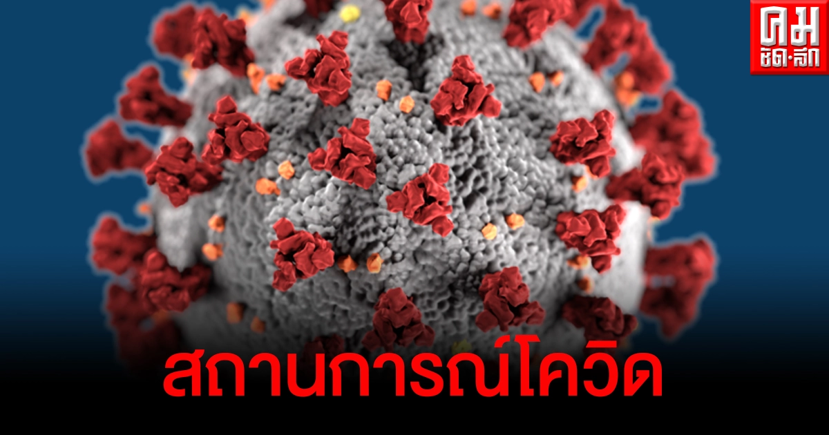 ด่วน ตัวเลขผู้ติดเชื้อโควิดวันนี้ 84 ราย ข่าวเศร้ามีเสียชีวิตเพิ่ม ด่วน ตัวเลขผู้ติดเชื้อโควิดวันนี้ 84 ราย ข่าวเศร้ามีเสียชีวิตเพิ่ม