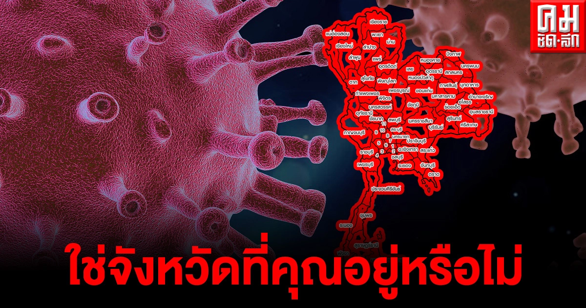 13 จังหวัดพบผู้ติดเชื้อโควิดวันนี้ เช็กเลยใช่จังหวัดที่คุณอยู่หรือไม่ 13 จังหวัดพบผู้ติดเชื้อโควิดวันนี้ เช็กเลยใช่จังหวัดที่คุณอยู่หรือไม่