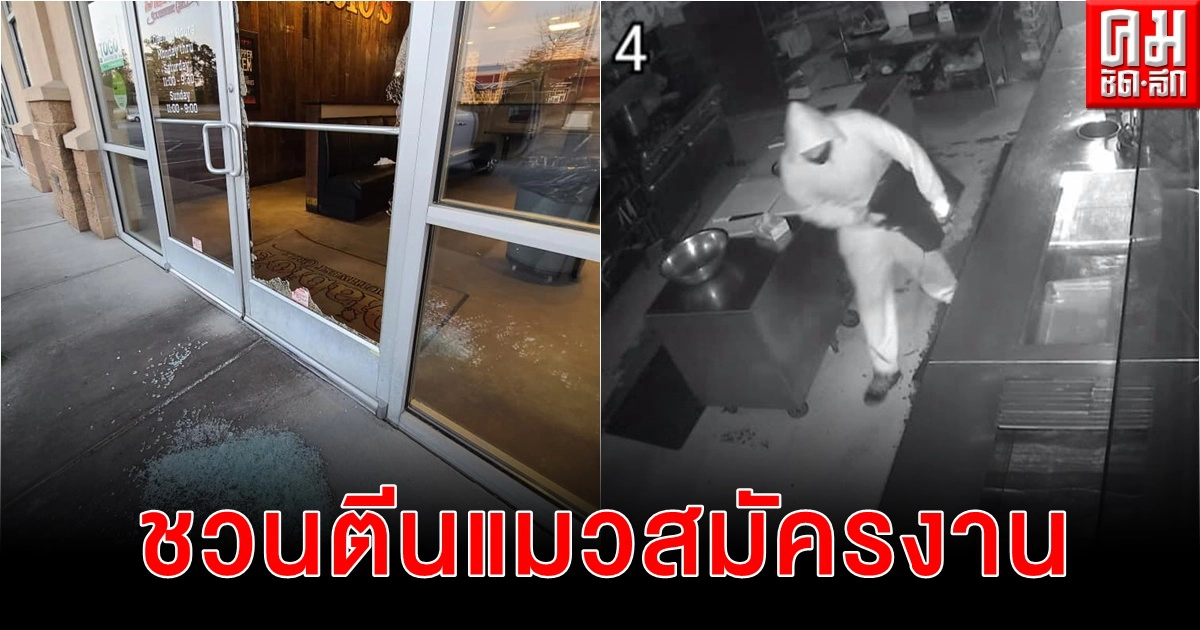 เจ้าของร้านอาหารประกาศตามหาตีนแมว ไม่เอาเรื่อง แถมเสนองานให้ทำหวังเปลี่ยนชีวิต เจ้าของร้านอาหารประกาศตามหาตีนแมว ไม่เอาเรื่อง แถมเสนองานให้ทำหวังเปลี่ยนชีวิต