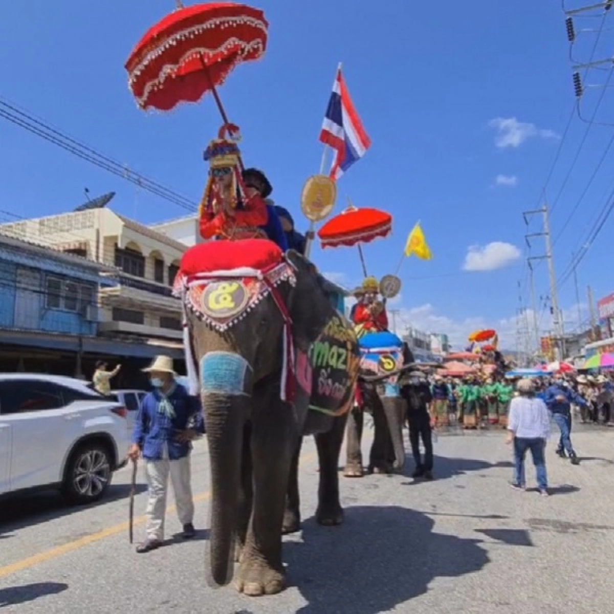 อลัง "แห่ช้างบวชนาค" สืบสวนตำนานไทยพวนบ้านหาดเสี้ยว สุโขทัย 