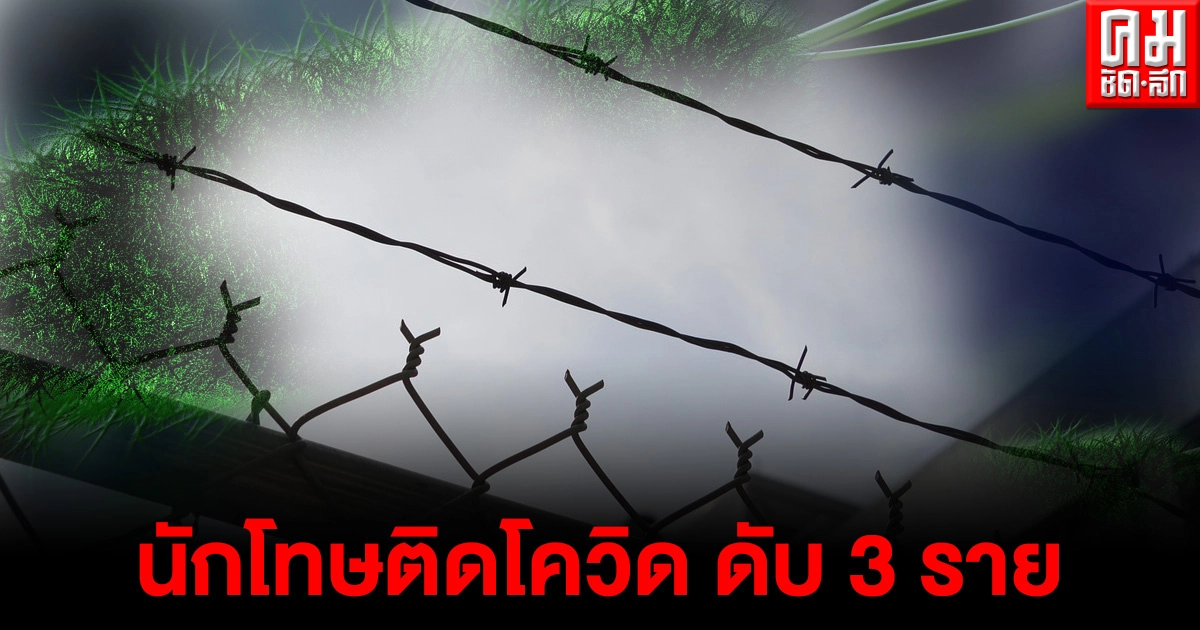 ผู้ต้องขังเรือนจำจังหวัดนราธิวาสติดโควิด ดับแล้ว 3 ราย ผู้ต้องขังเรือนจำจังหวัดนราธิวาสติดโควิด ดับแล้ว 3 ราย