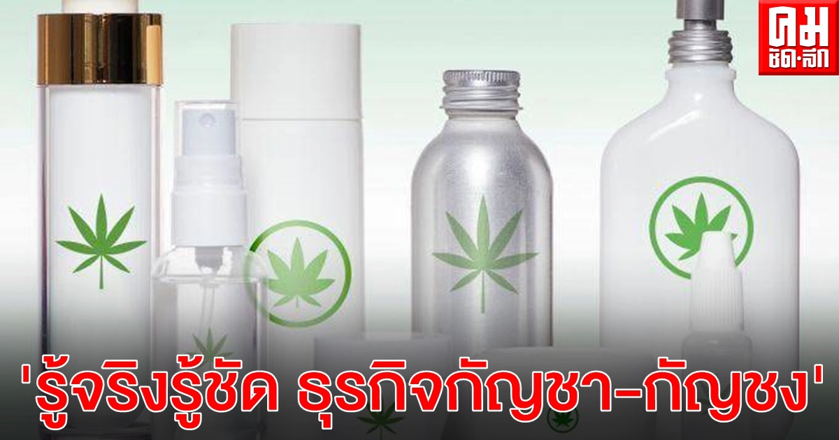 NBI9 ผนึกสภาแพทย์แผนไทย จัดเสวนาเปิดขุมทรัพย์ทองคำเขียว "รู้จริงรู้ชัด ธุรกิจกัญชา-กัญชง" Cannabis & Hemp Business Conferences ครั้งแรกในไทย 