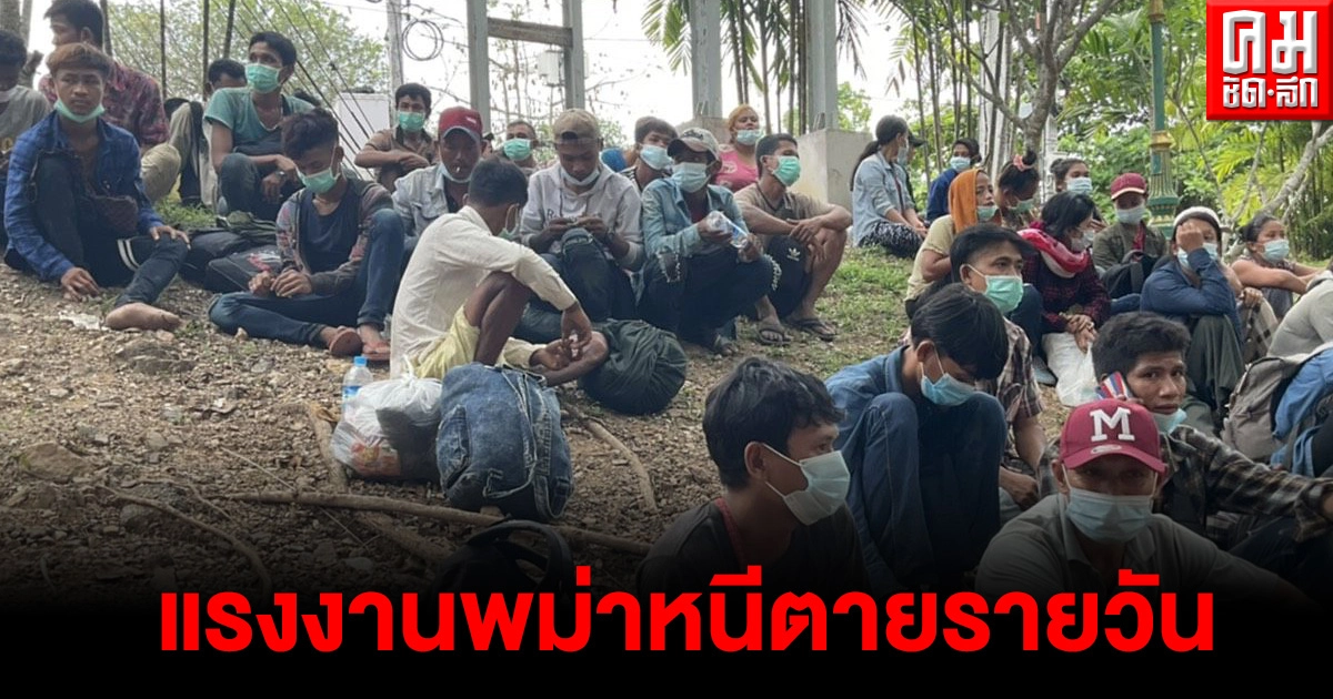 แรงงานพม่าหนีตายรายวัน อยู่บ้านตัวเองไม่ได้กลัวโดนจับเป็นลูกหาบ แรงงานพม่าหนีตายรายวัน อยู่บ้านตัวเองไม่ได้กลัวโดนจับเป็นลูกหาบ