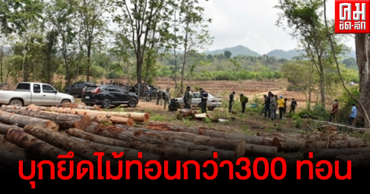 ป่าไม้ อุทยานฯ ทหาร ตำรวจ บุกยึดไม้ท่อนกว่า300 ท่อน ตัดเกลื่อนป่าไทรโยค ป่าไม้ อุทยานฯ ทหาร ตำรวจ บุกยึดไม้ท่อนกว่า300 ท่อน ตัดเกลื่อนป่าไทรโยค