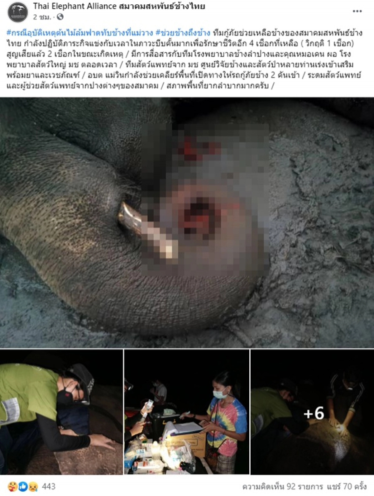 ช้าง
