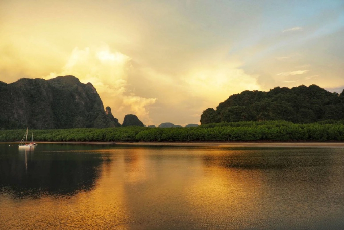 "วราวุธ" เปิดป่าในเมือง "มหัศจรรย์ป่าชายเลนแกรนด์แคนยอน เมืองไทย" จ.กระบี่ 