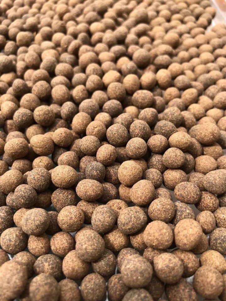 เปิดตำรับปรุงยาจินดามณี ของ อ.สิทธิชัย โหรบัณฑิต ครูหมอยาสายสำนักเขาอ้อ