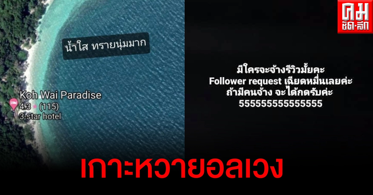 เกาะหวายอลเวง เพจดังแฉสาวโพสต์ขายเกาะไม่สนดราม่าโผล่รับจ้างรีวิวหลังได้ผู้ติดตามเพิ่ม เกาะหวายอลเวง เพจดังแฉสาวโพสต์ขายเกาะไม่สนดราม่าโผล่รับจ้างรีวิวหลังได้ผู้ติดตามเพิ่ม