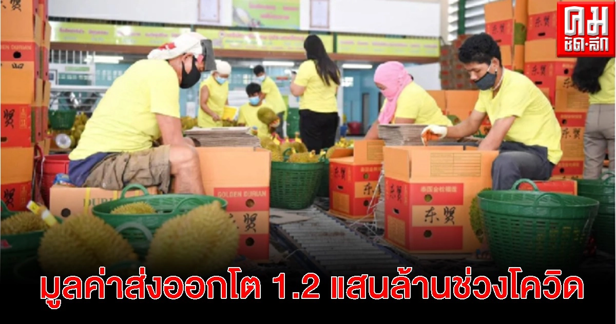 ผลไม้ไทยสร้างชื่อเสียง 'พาณิชย์'เปิดมูลค่าส่งออกโต 1.2 แสนล้านในช่วงโควิด-19 ผลไม้ไทยสร้างชื่อเสียง 'พาณิชย์'เปิดมูลค่าส่งออกโต 1.2 แสนล้านในช่วงโควิด-19