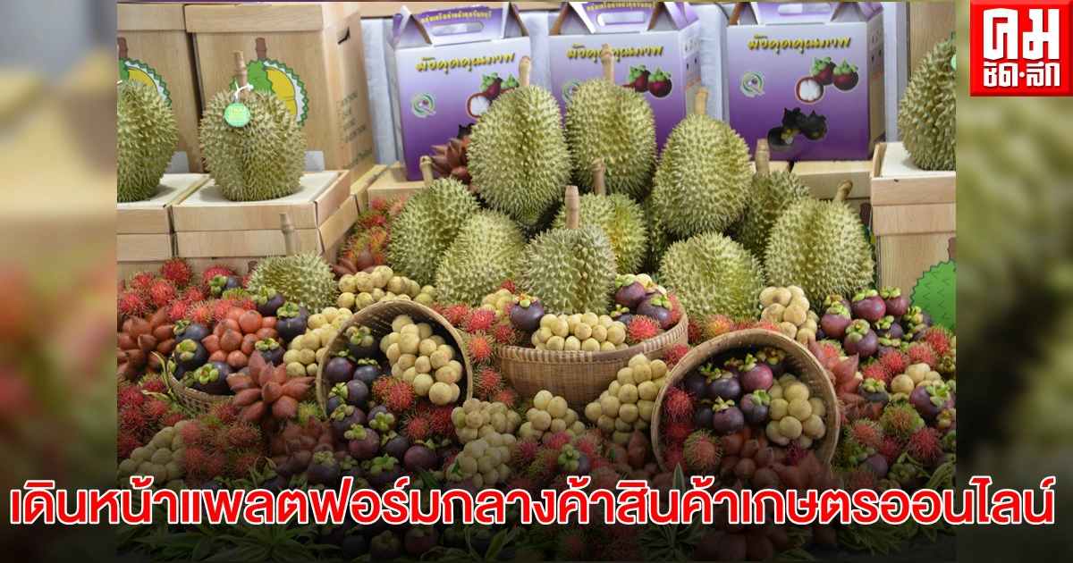 กสส.เดินหน้าแพลตฟอร์มกลางค้าสินค้าเกษตรออนไลน์ ใช้ไทยเทรด.คอม ของพณ. ต่อยอดนำร่อง คาดกลางมิ.ย. ลุยตลาดออนไลน์ กสส.เดินหน้าแพลตฟอร์มกลางค้าสินค้าเกษตรออนไลน์ ใช้ไทยเทรด.คอม ของพณ. ต่อยอดนำร่อง คาดกลางมิ.ย. ลุยตลาดออนไลน์