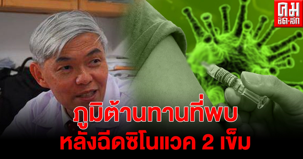"หมอยง" เผยข้อมูลน่าสนใจเรื่องของภูมิต้านทาน หลังฉีดวัคซีนซิโนแวคไป 2 เข็มเกิดอะไรขึ้น "หมอยง" เผยข้อมูลน่าสนใจเรื่องของภูมิต้านทาน หลังฉีดวัคซีนซิโนแวคไป 2 เข็มเกิดอะไรขึ้น