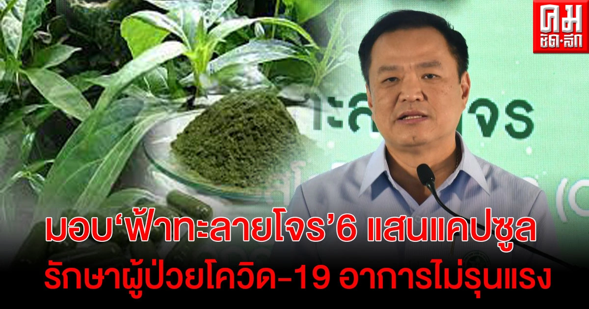 สธ.ส่งมอบ "ฟ้าทะลายโจร" 6 แสนแคปซูล ให้รพ.ในสังกัดทั่วประเทศเพิ่มทางเลือกรักษาโควิด-19 สธ.ส่งมอบ "ฟ้าทะลายโจร" 6 แสนแคปซูล ให้รพ.ในสังกัดทั่วประเทศเพิ่มทางเลือกรักษาโควิด-19
